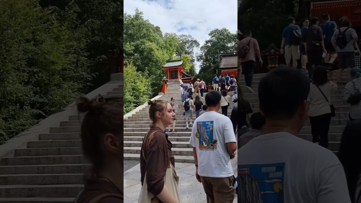 How you rate Kyoto Fushimi Inari Taisha 伏见稻荷大社 #japan #kyoto #travel #shorts