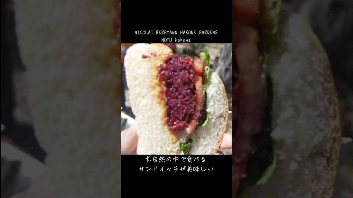 箱根で行きたい！おしゃれカフェ4選 #shorts #箱根 #カフェ