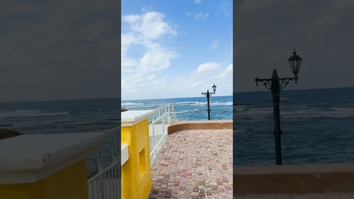 Chatan Park Sunset Beach - Okinawa, Japan. #shortvideo #okinawa #shorts #japan