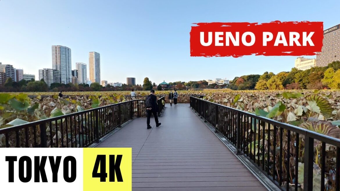 TOKYO, JAPAN 🇯🇵 [4K] UENO PARK — Walking Tour