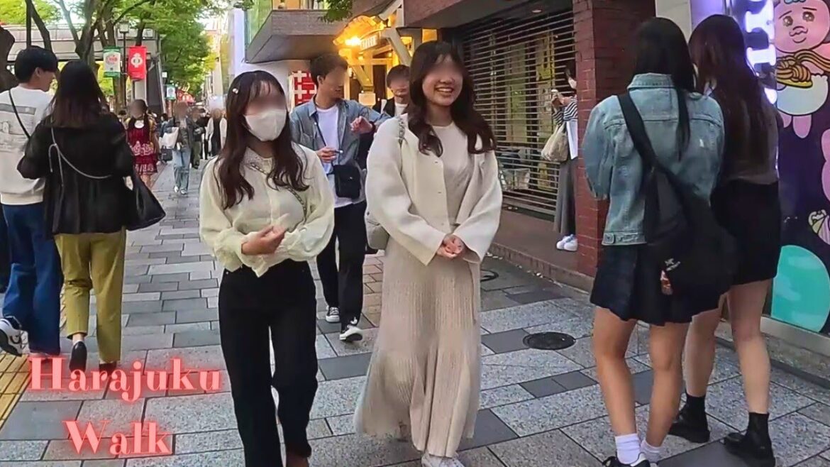 Harajuku Tokyo in Japan walk tour. 【4K】11.2023-12