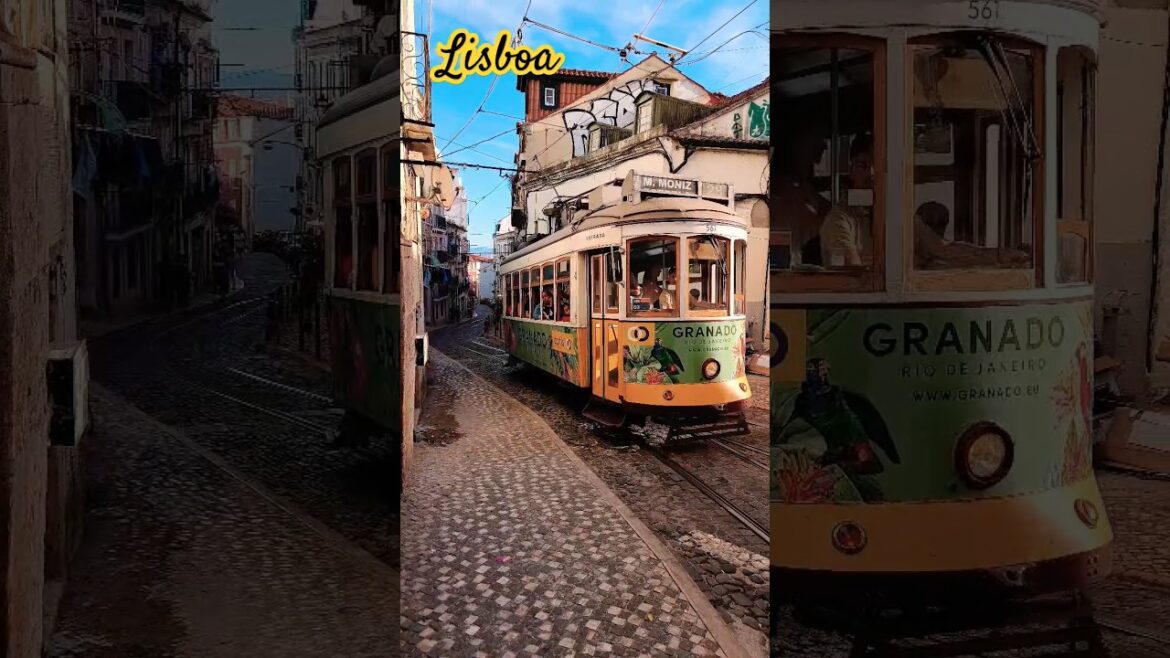 Lisbon Tram 28 #lisboa #lisbonportugal #shorts