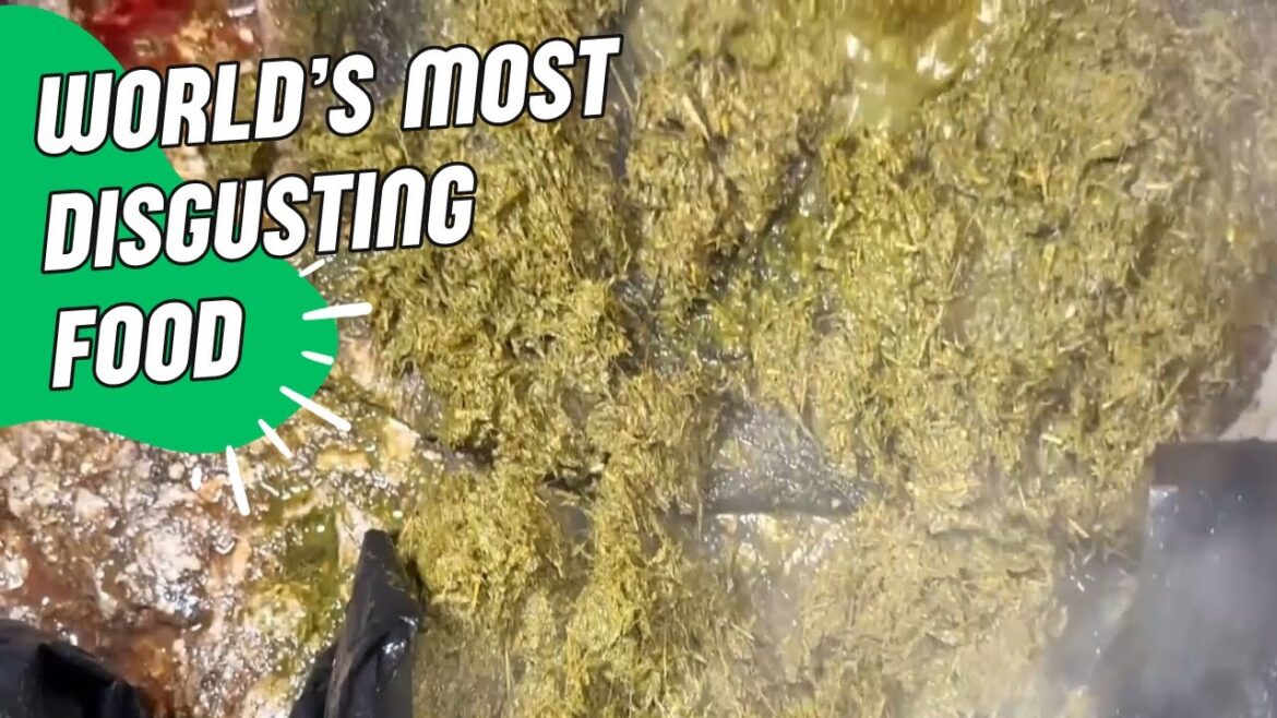 10 World’s Most DISGUSTING Food EVER That People Eat?? WHAT?? 10 World's Most DISGUSTING Food EVER That People Eat?? WHAT??