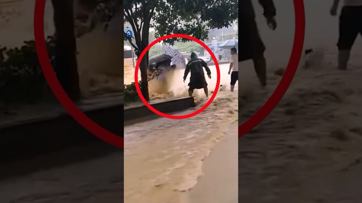 😮Shocking! #flood turned streets into rushing rivers! #nature #rain #floods #travel  #shorts #viral