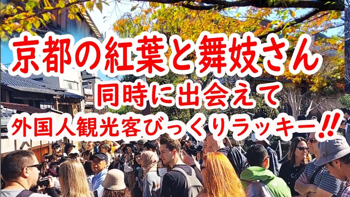 【リアルな海外の反応】京都 祇園の紅葉と舞妓さんに外国人観光客 目を奪われる!祇園かにかくに祭と舞妓デビューに外国人が遭遇した! 【リアルな海外の反応】京都 祇園の紅葉と舞妓さんに外国人観光客 目を奪われる!祇園かにかくに祭と舞妓デビューに外国人が遭遇した!