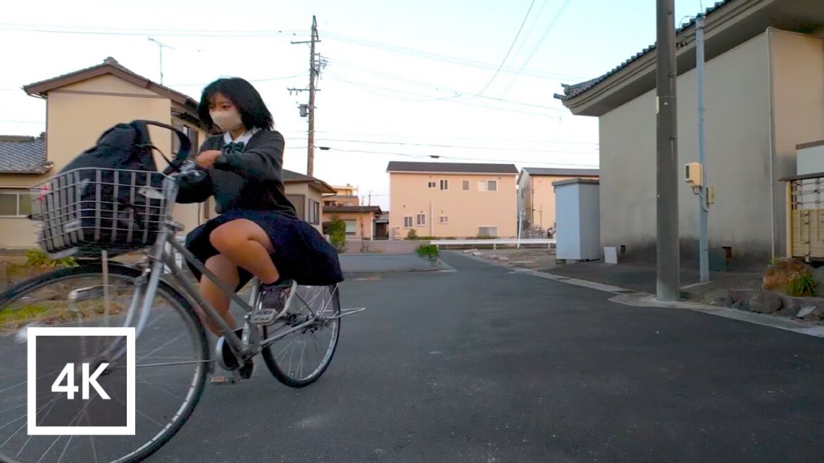 Evening ride through the rice fields in the outskirts of Nagoya | Enjoy the sunset countryside