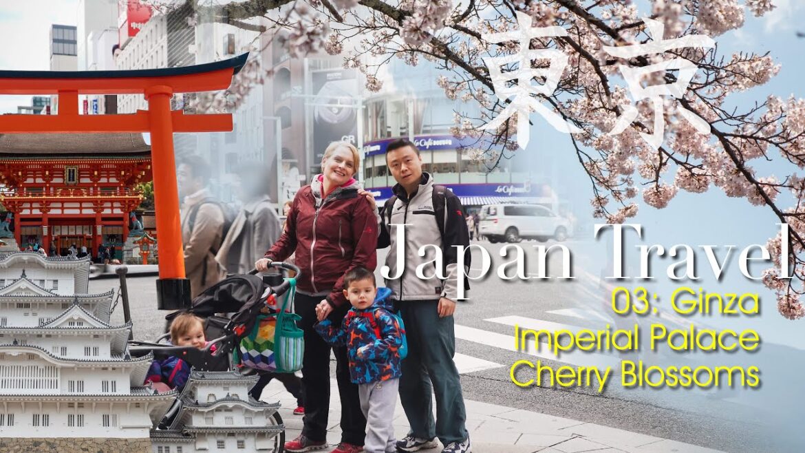 Downtown Tokyo Ginza 東京銀座, Imperial Palace, Cherry Blossom, Japan Family Travel 03