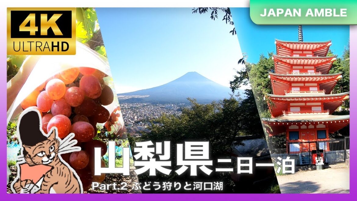 富士山、河口湖とぶどう狩り｜二日一泊旅行・山梨散策｜4K