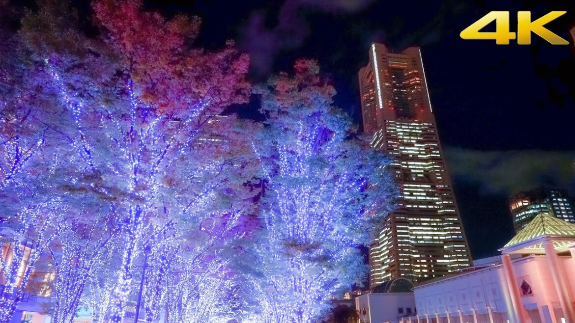 4K 横浜散歩【ヨコハマミライト】約1.5kmの横浜市内最大級のイルミネーション | Chrstmas Lights | Yokohama Night Walk 4K 横浜散歩【ヨコハマミライト】約1.5kmの横浜市内最大級のイルミネーション | Chrstmas Lights | Yokohama Night Walk