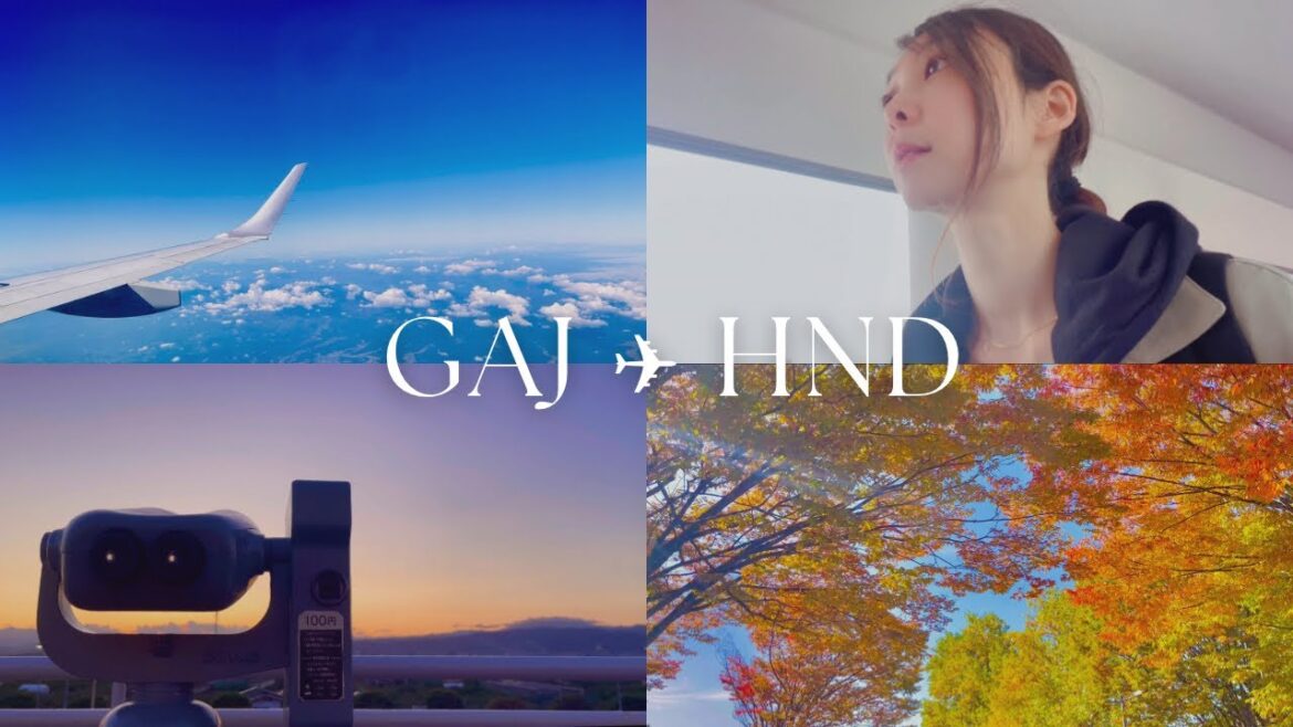 【山形空港】雲の上が美しすぎて泣けた飛行機好きの空の旅✈︎山形→羽田|YAMAGATA to HANEDA Airport 【山形空港】雲の上が美しすぎて泣けた飛行機好きの空の旅✈︎山形→羽田|YAMAGATA to HANEDA Airport