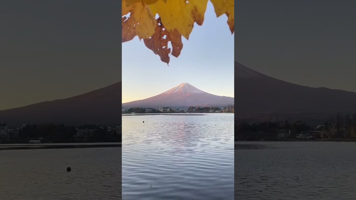 Mount fuji View | #mountfuji #mountains #shorts
