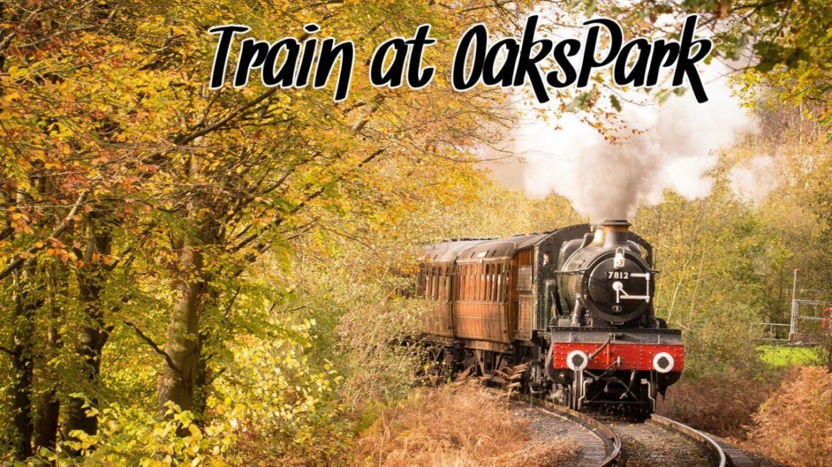 Having fun at train ride at the amusement park #shorts Having fun at train ride at the amusement park #shorts