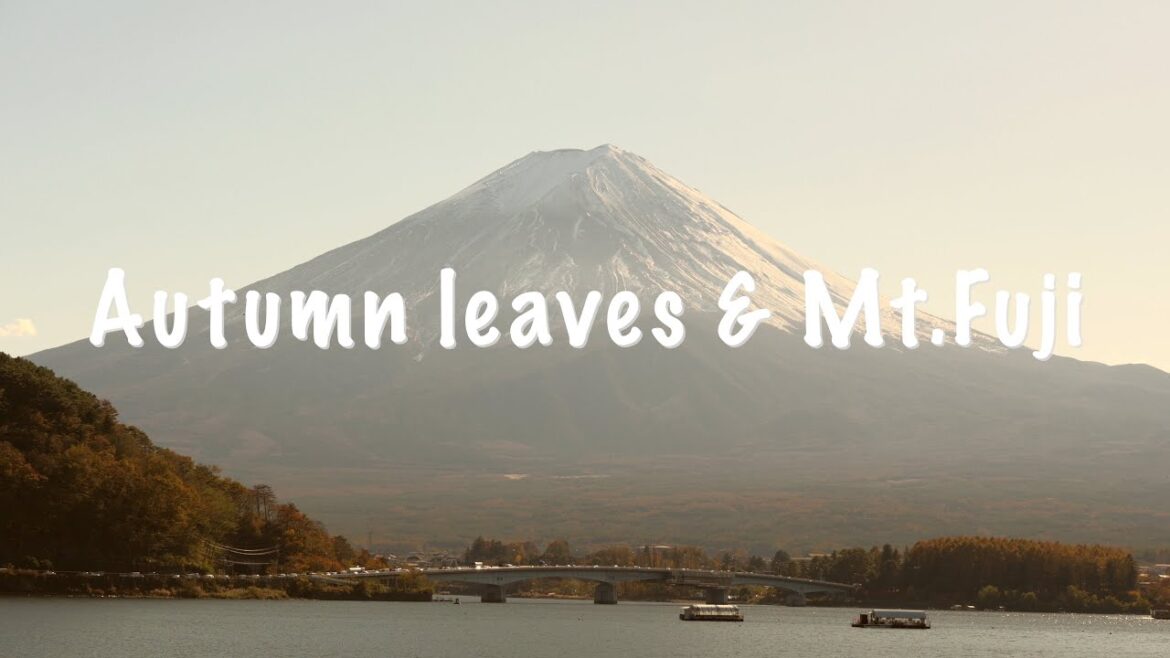 【Z30】Lake Kawaguchi autumn leaves & Mt.Fuji 河口湖紅葉と富士山