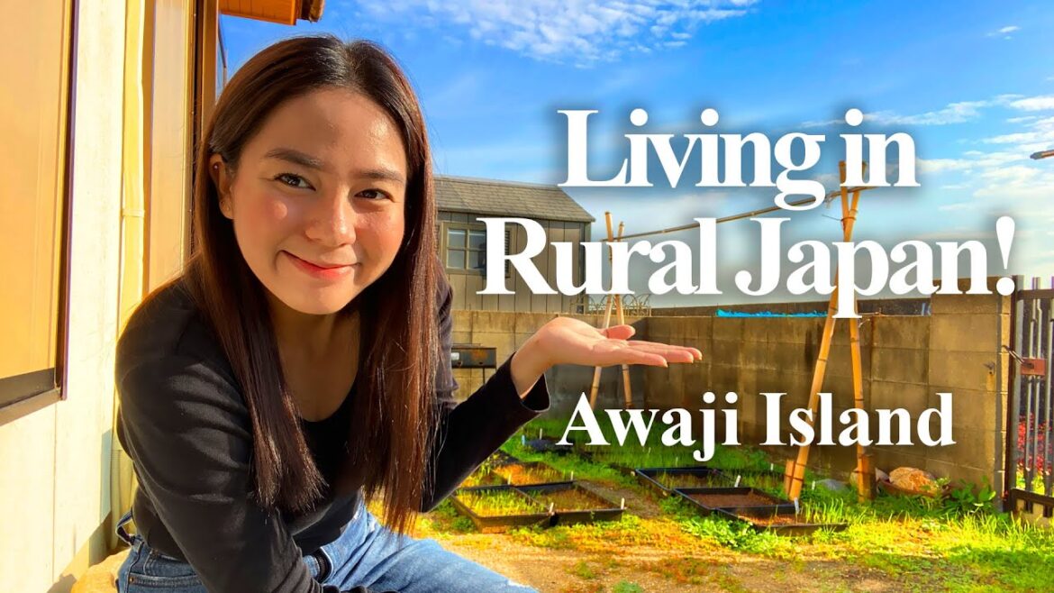 Living in Rural Japan | Awaji Island | deltaTV