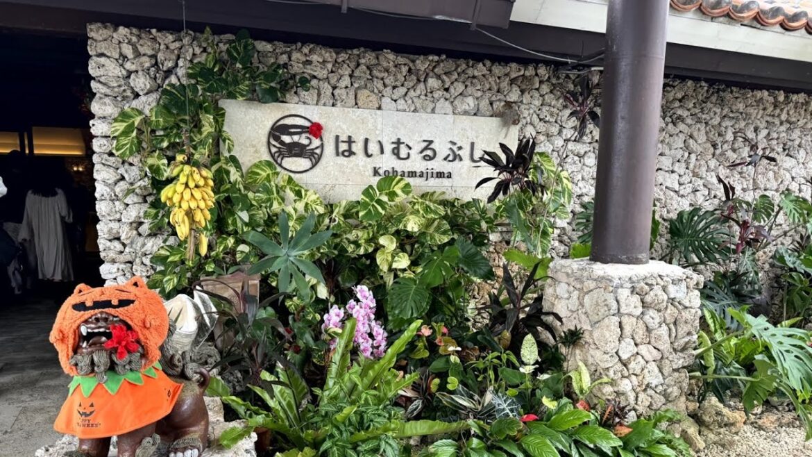 We will stay at Haimurubushi on Kohama Island 2023.10.28