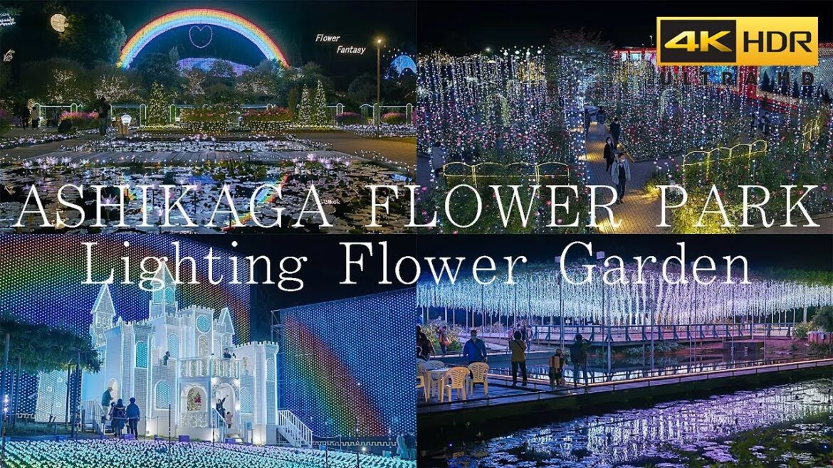 4K HDR あしかがフラワーパーク 日本三大イルミネーション Japan Christmas lights | Ashikaga Flower Park 2023-2024 光の花の庭