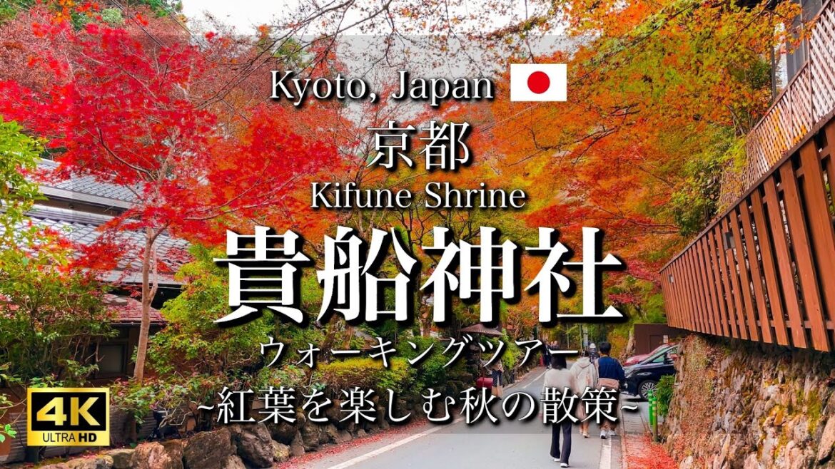 Kyoto, Japan "Kibune area's Autumn Leaves" | Beautiful Kifune Shrine Walking Tour [4K]