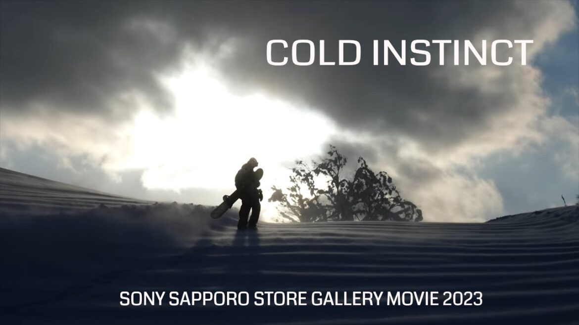 Sony Gallery movie "Cold Instinct" 2023 Filming & Edit: Neil Hartmann Sony 7R5 & A74