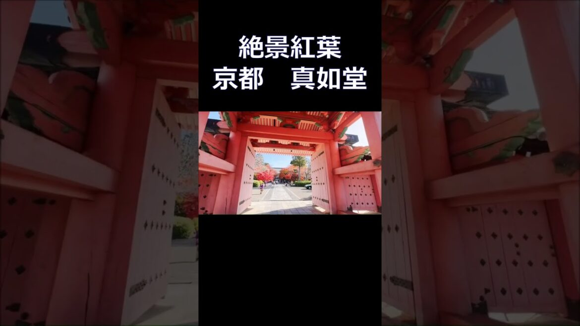 #真如堂  #京都の絶景紅葉  #京都旅行 #京都のお寺 #京都観光 #京都の紅葉 #kyoto trip #kyoto travel #shorts #Autumn leaves in Kyoto