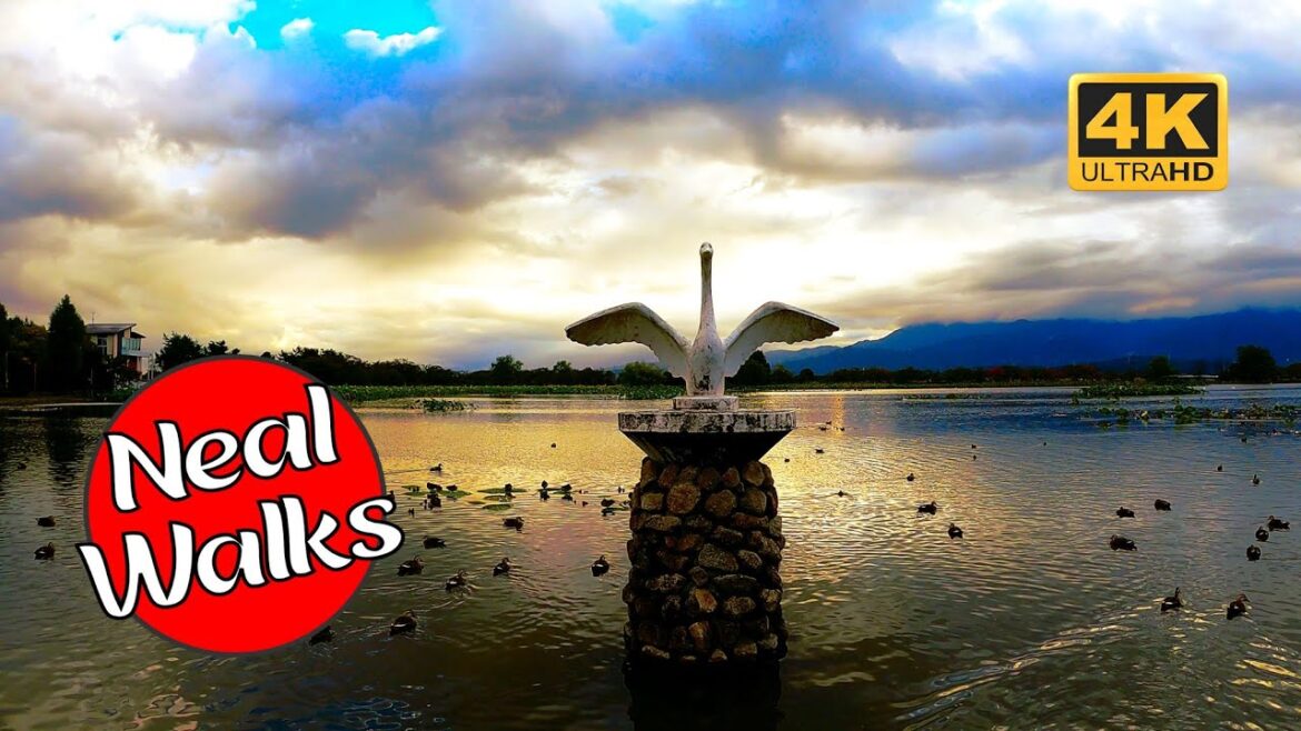 Walk Around Swan Lake in Suibara, Japan [4K 60FPS]