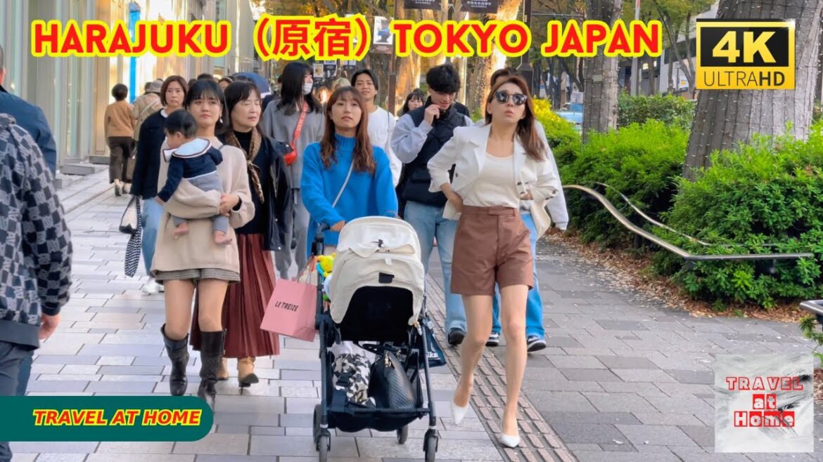 4k hdr japan travel | Walk in Harajuku（原宿）Tokyo japan |  Relaxing Natural City ambience