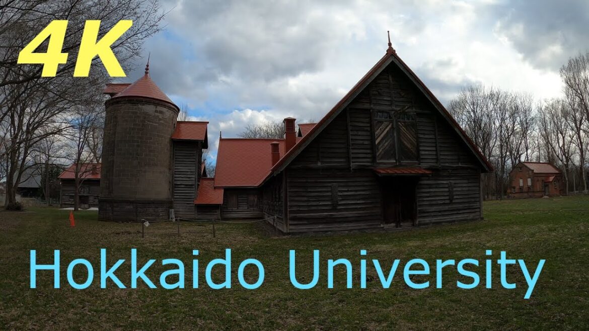 北海道大学のキャンパスを散策２　Walking Tour in Campus of Hokkaido University, Sapporo, Hokkaido, Japan Vol.2［4K］