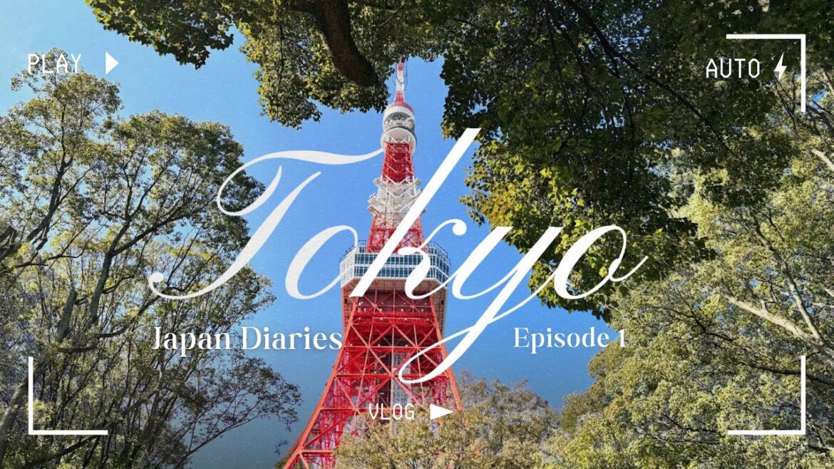 Japan Diaries: A Trip To Tokyo π―π΅ | Travel vlog | Shinjuku, Ginza, Akihabara, Tokyo tower and more! Japan Diaries: A Trip To Tokyo π―π΅ | Travel vlog | Shinjuku, Ginza, Akihabara, Tokyo tower and more!