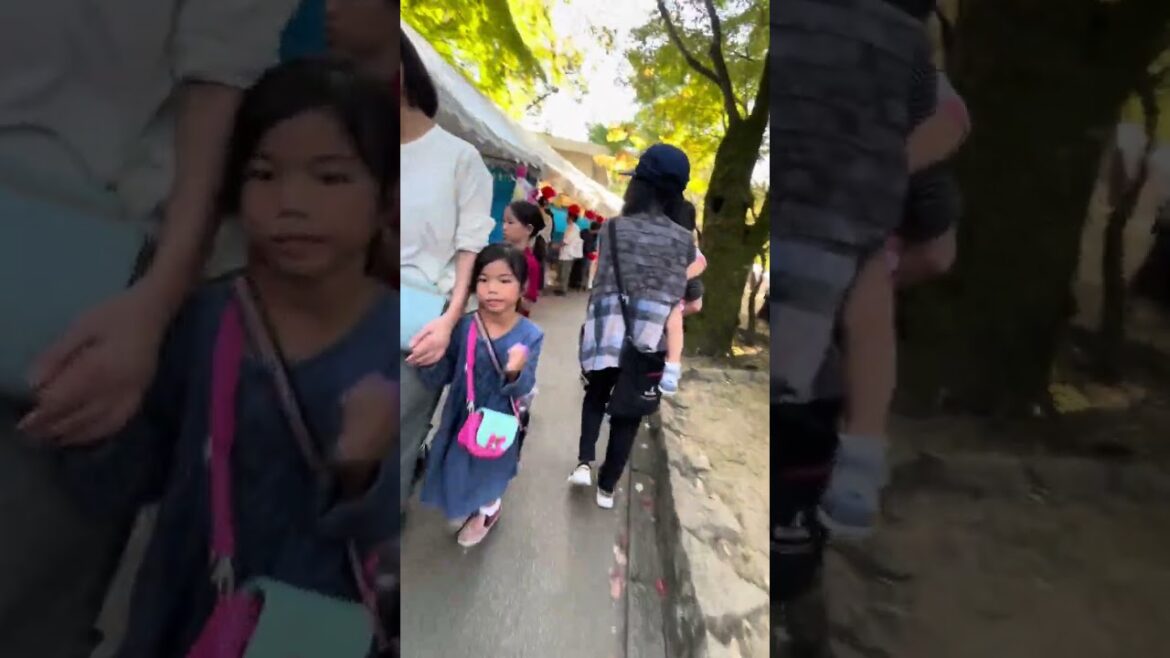 Program Kumadai Kampus Utara Musim Dingin November 2023