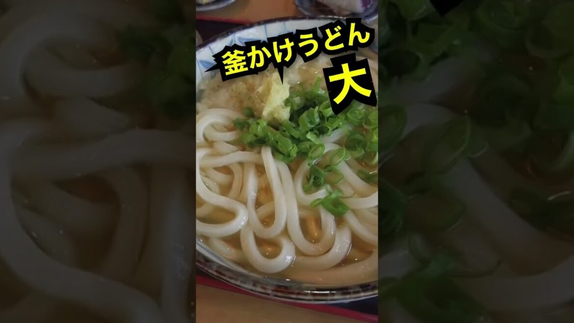 【讃岐うどん5連発】お金が無いから旅に出た　日本２周目　歩き旅　香川県高松市