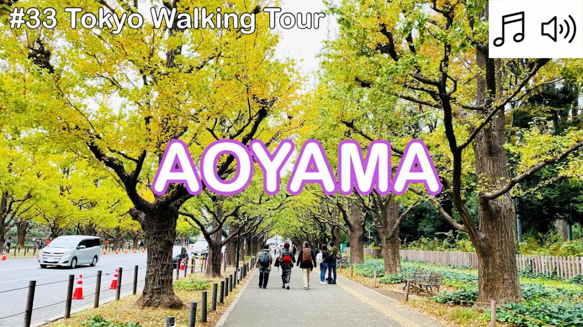 【# 33 Tokyo Walking Tour 2023】Aoyama Autumn Walk 4K. Tokyo Omotesando, Harajuku area.