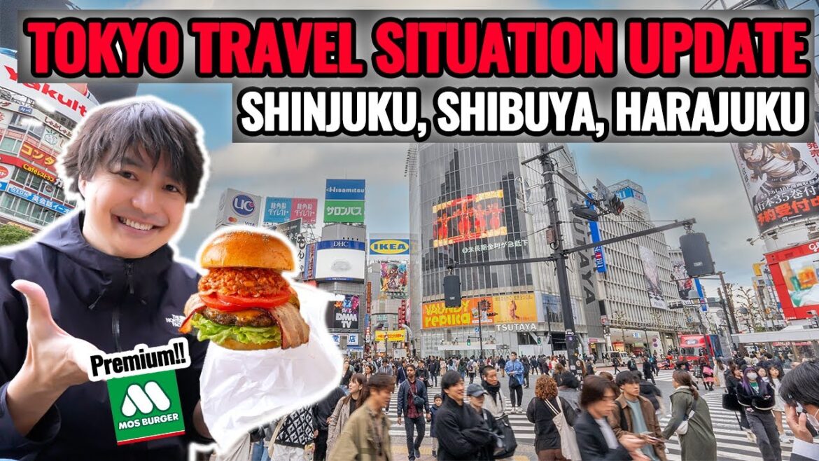 (2023 Winter) Suddenly Japan Gets Much Cooler! Travel Update from Shibuya, Shinjuku, Harajuku Ep.441