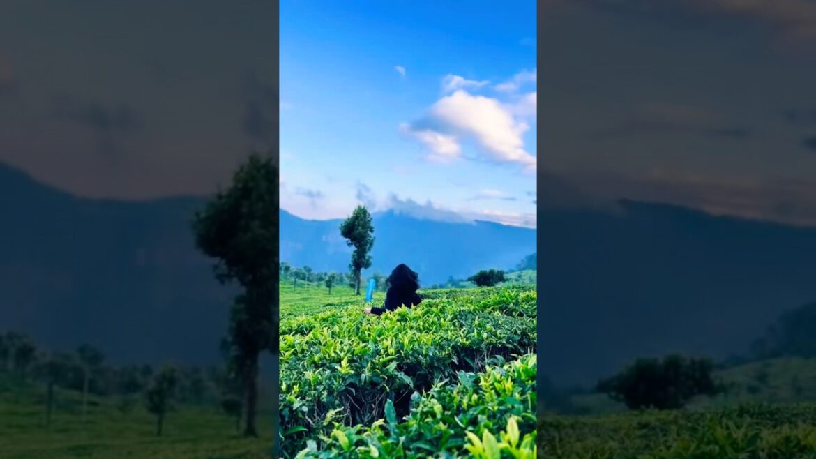 Are you ready?? Let’s make memories together with travel❤️#youtubeshorts #shorts #viral Are you ready?? Let’s make memories together with travel❤️#youtubeshorts #shorts #viral