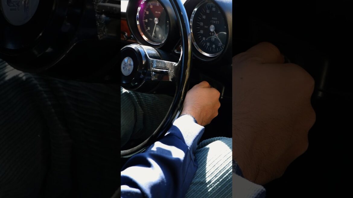 Roadtrips in Japan | Our Unforgettable Trip to Ritz Carlton Nikko #shorts #short #japan #travelasia