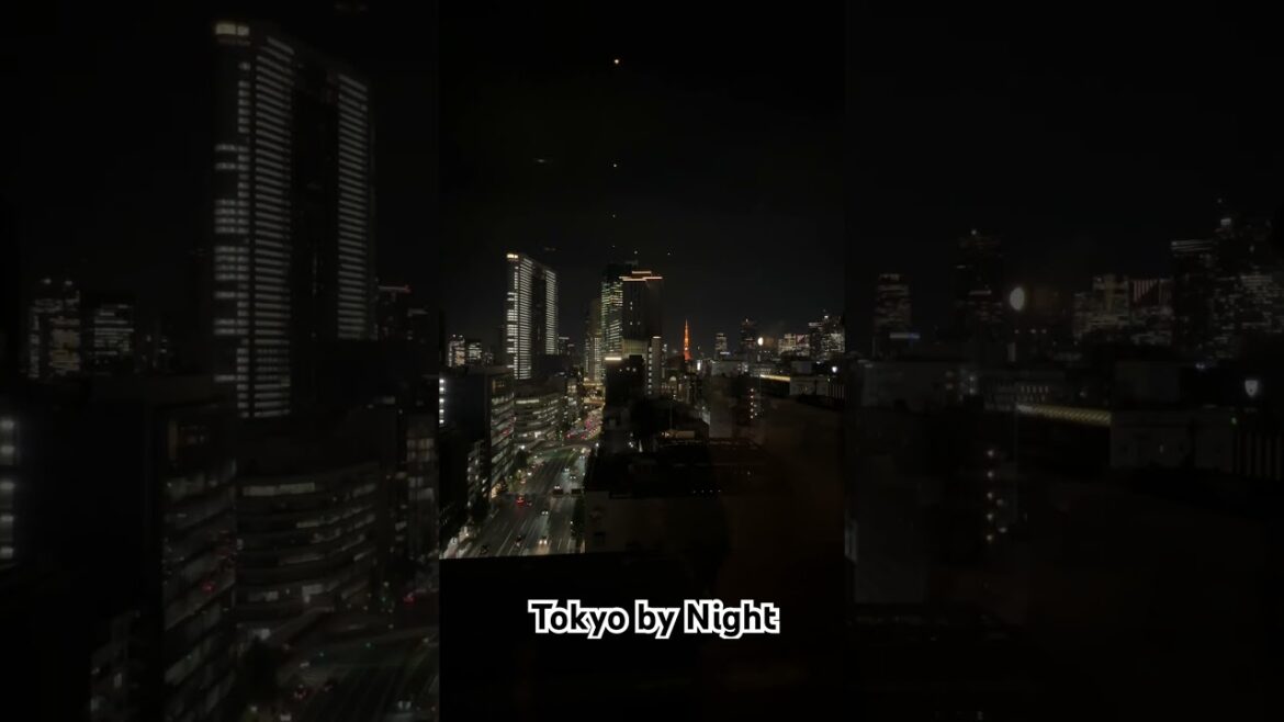 You Won’t Believe This 😳 TOKYO VIEWS BY NIGHT | Travel Couple #shorts #japan #asia #japantravels