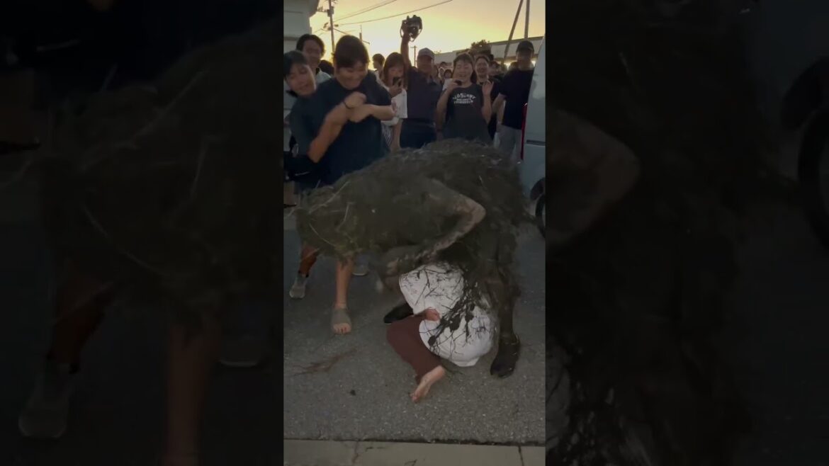 Pāntu festival in Miyako, Okinawa walking tour. 2023