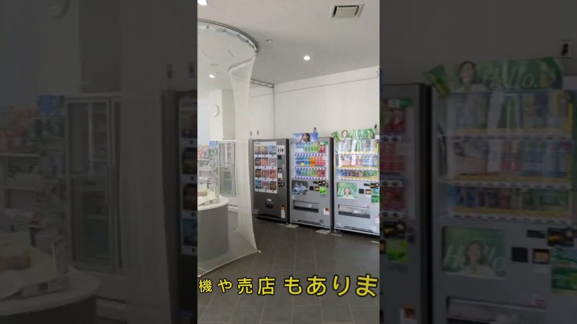 【Hakodate】Hakodate arena#shorts