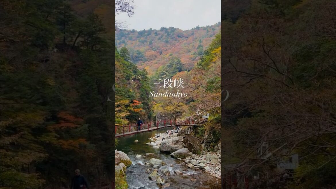 Autumn mountain hike in Hiroshima, Japan 🍁#wanderlustjapan #discoverjapan #japantravel