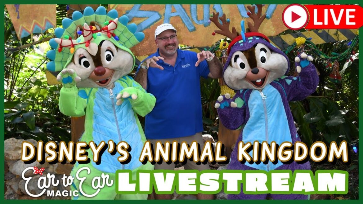 🔴 LIVE - Animal Kingdom Thriving Thursday Livestream - 11.16.23