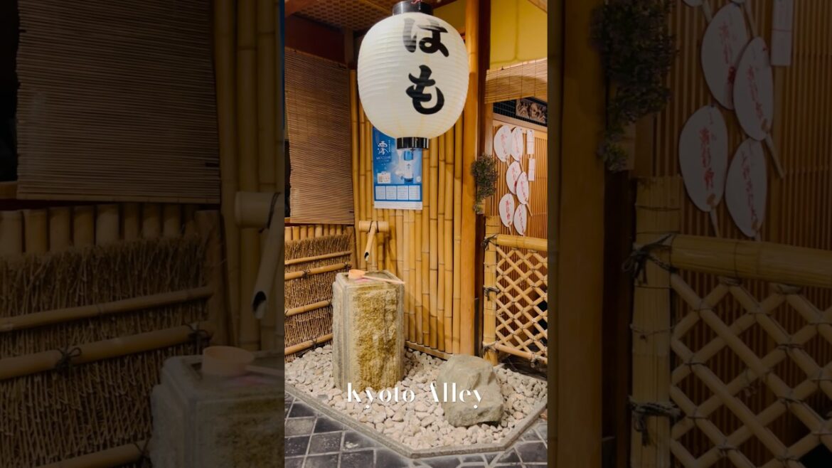 Kyoto Alley #japan #kyoto #travel #japantravel #japantrip #nhatban #nhat