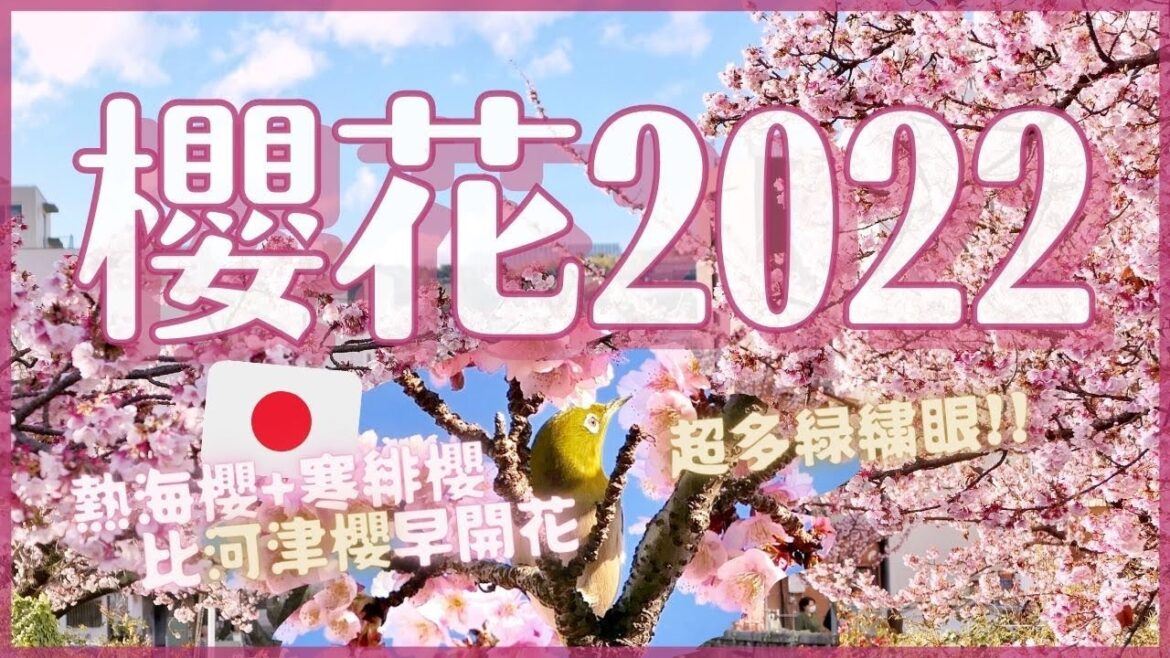 賞櫻2022🌸比河津櫻早開的熱海櫻 寒緋櫻盛開｜糸川遊步道 熱海布丁 熱海梅園 東京荏原神社｜日本2月一日遊VLOG｜日本櫻花4K