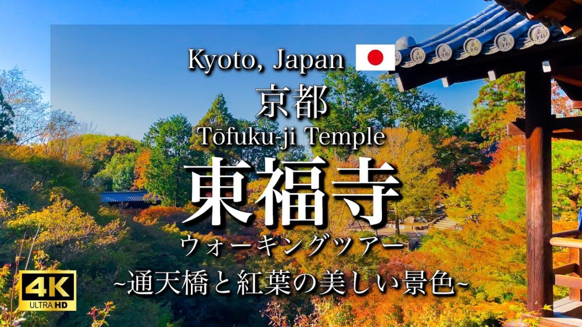 Kyoto, Japan "Tōfuku-ji Temple" and "Tsutenkyo Bridge"| Autumn Leaves Walking Tour [4K]