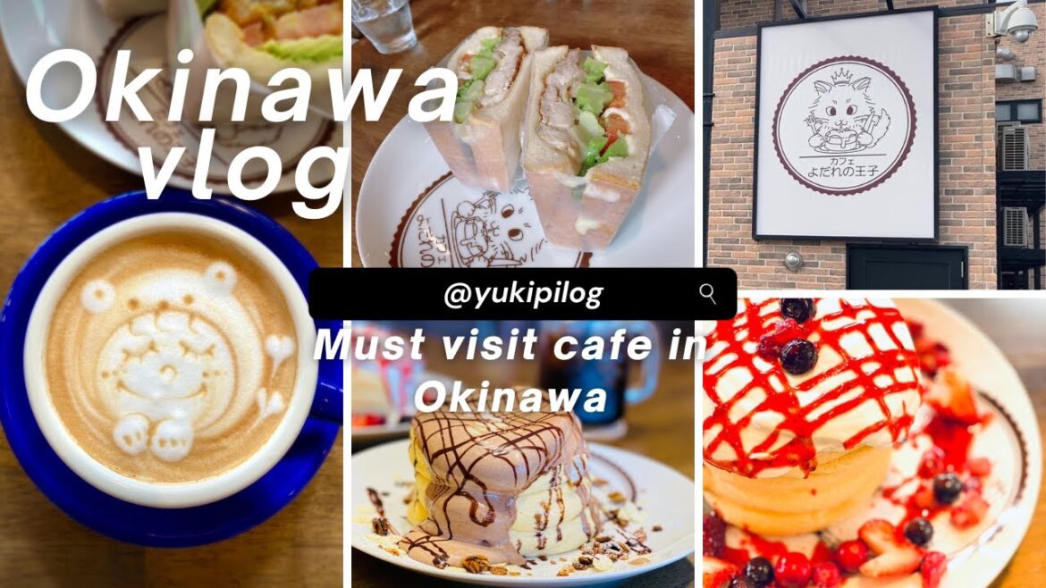Explore Okinawa Vlog|Must Visit Cafe “Drool Prince(Yodare no Ouji)”カフェよだれの王子 Explore Okinawa Vlog|Must Visit Cafe "Drool Prince(Yodare no Ouji)"カフェよだれの王子