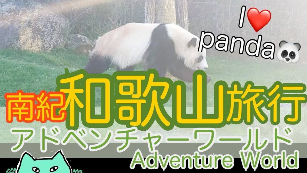 【観光ガイド】和歌山　アドベンチャーワールド🐼かわいいパンダに癒される休日　#大人の修学旅行  #和歌山 #パンダ　#panda