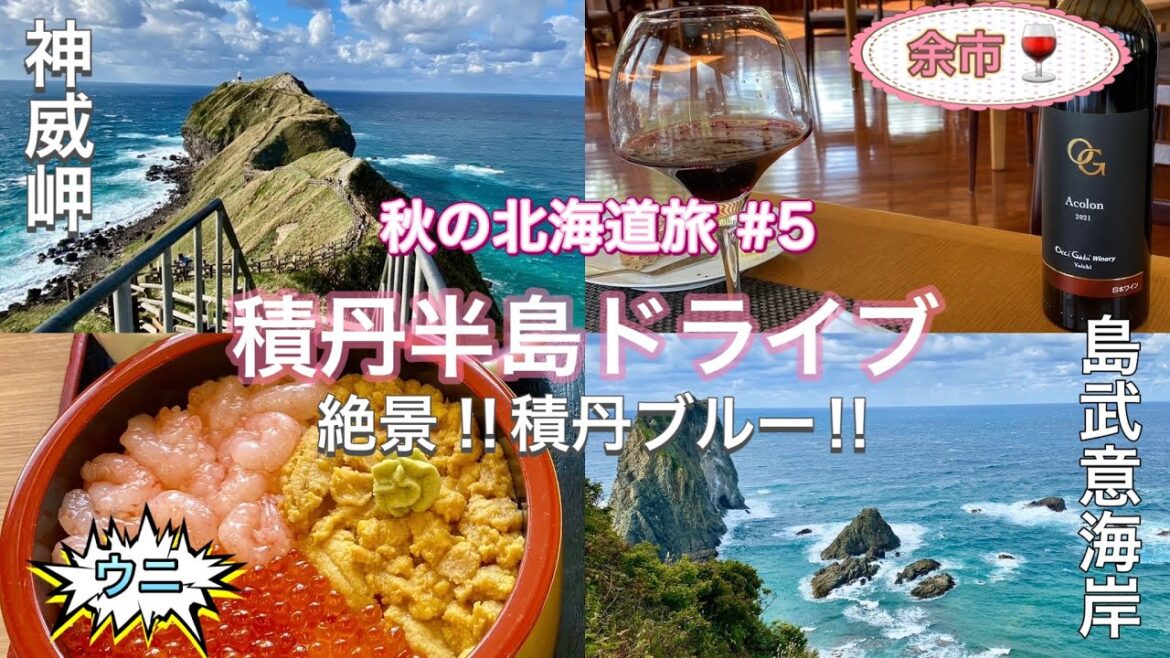 秋の北海道旅行⑤小樽から積丹半島へドライブ・神威岬・島武意海岸・余市ワイナリー　シーズン外で生うには食べれず😂蒸しウニも美味しい‼️ 🇯🇵TRIP NEW JAPAN/Travel/Hokkaido/