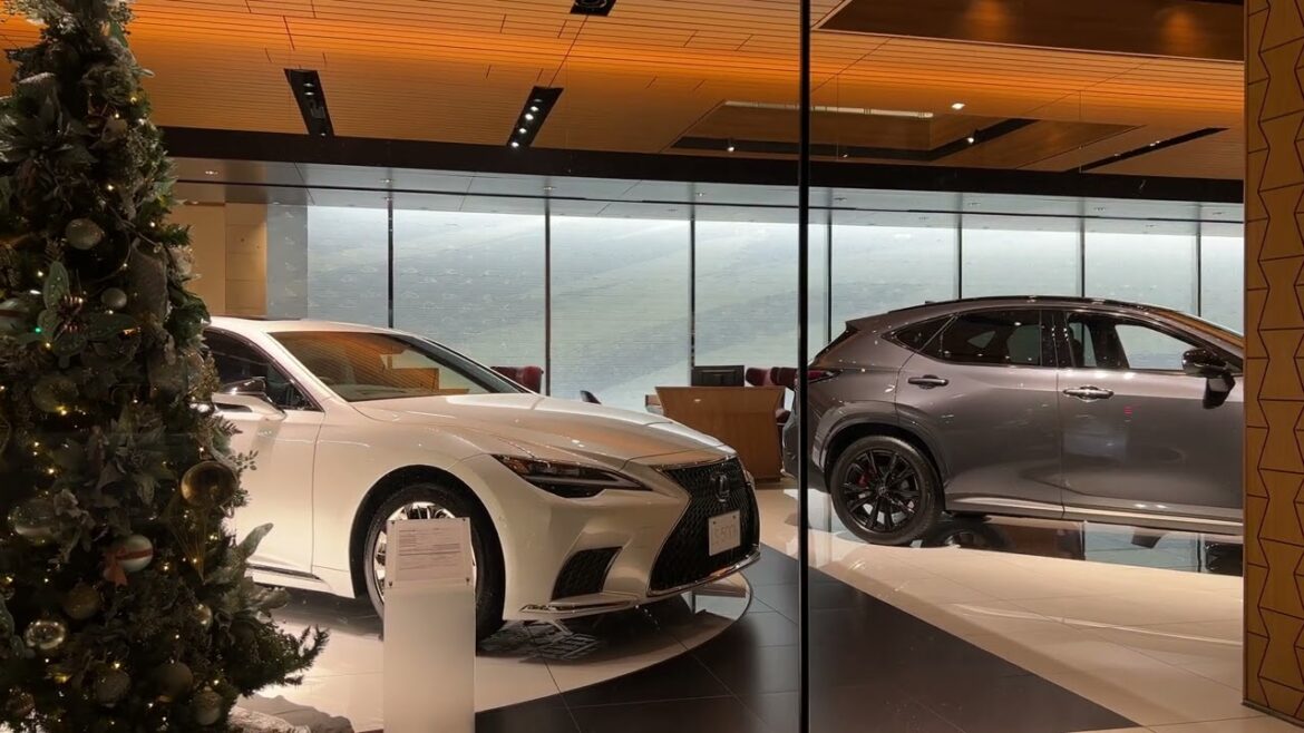 福岡北九州市　田舎限定小倉ライトシンフォニーの散歩　Fukuoka Kokura walking tour　2023/11/18