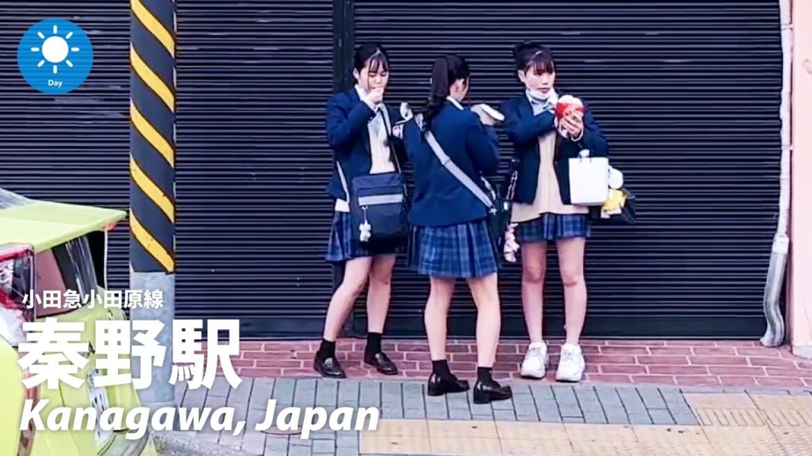 ⁴ᴷ Kanagawa: Around Hadano Station (秦野駅) – Japan Walking Tour / March, 2023 ⁴ᴷ Kanagawa: Around Hadano Station (秦野駅) - Japan Walking Tour / March, 2023