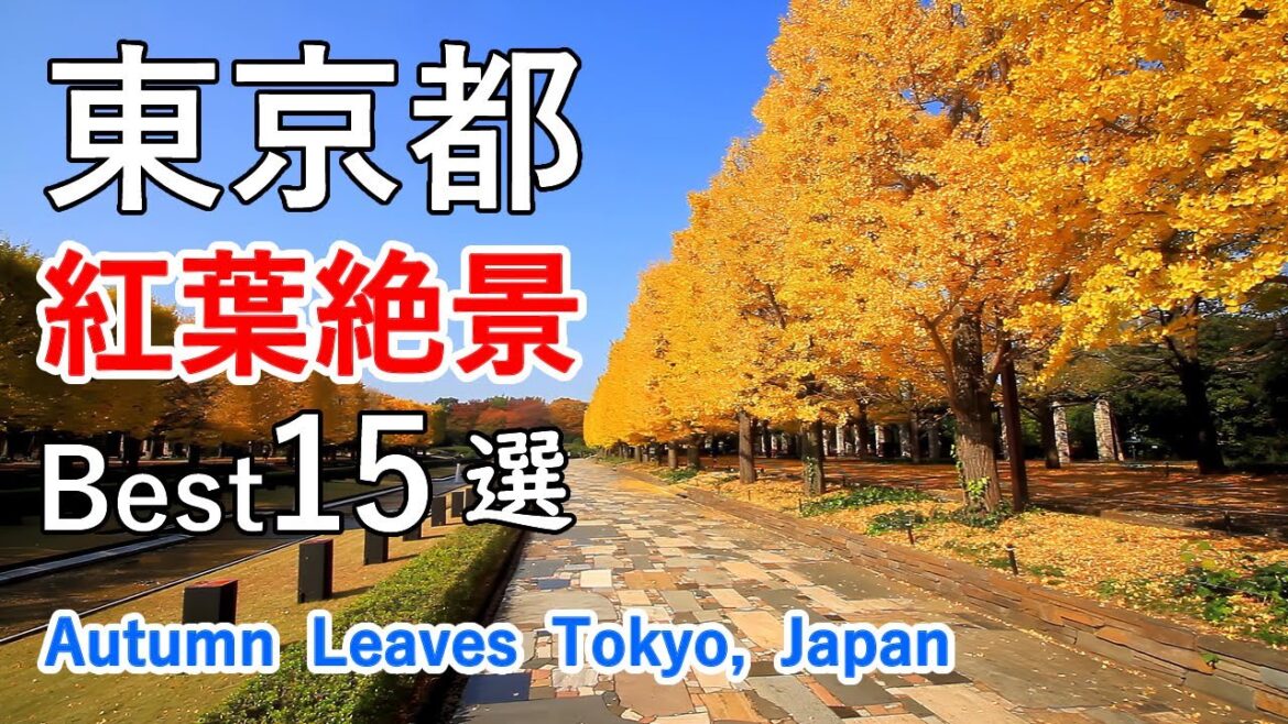東京都の紅葉絶景15選！ 高尾山・奥多摩湖・昭和記念公園など / 15 Best Superb Views of Autumn Leaves in Tokyo [ 4K ]