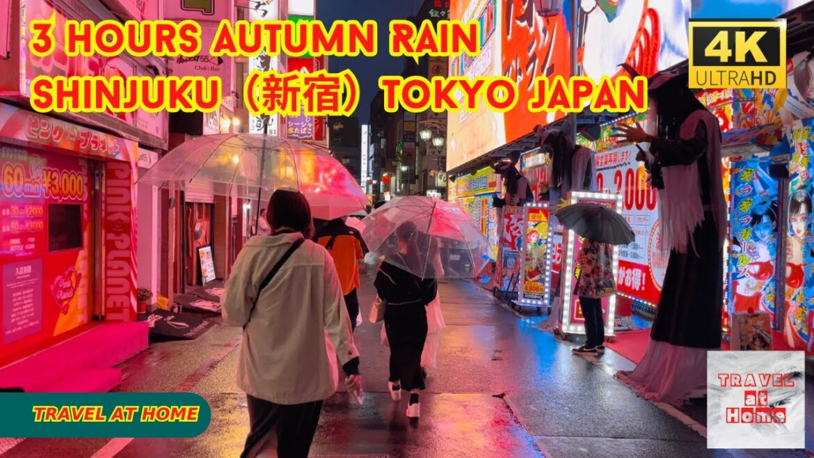【4k hdr】 3 hours Autumn Rain Walk in Shinjuku（新宿）Tokyo Japan |  Relaxing Natural Rain sounds