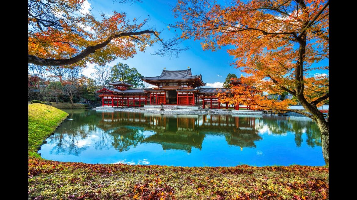 My first visit to Japan My first visit to Japan