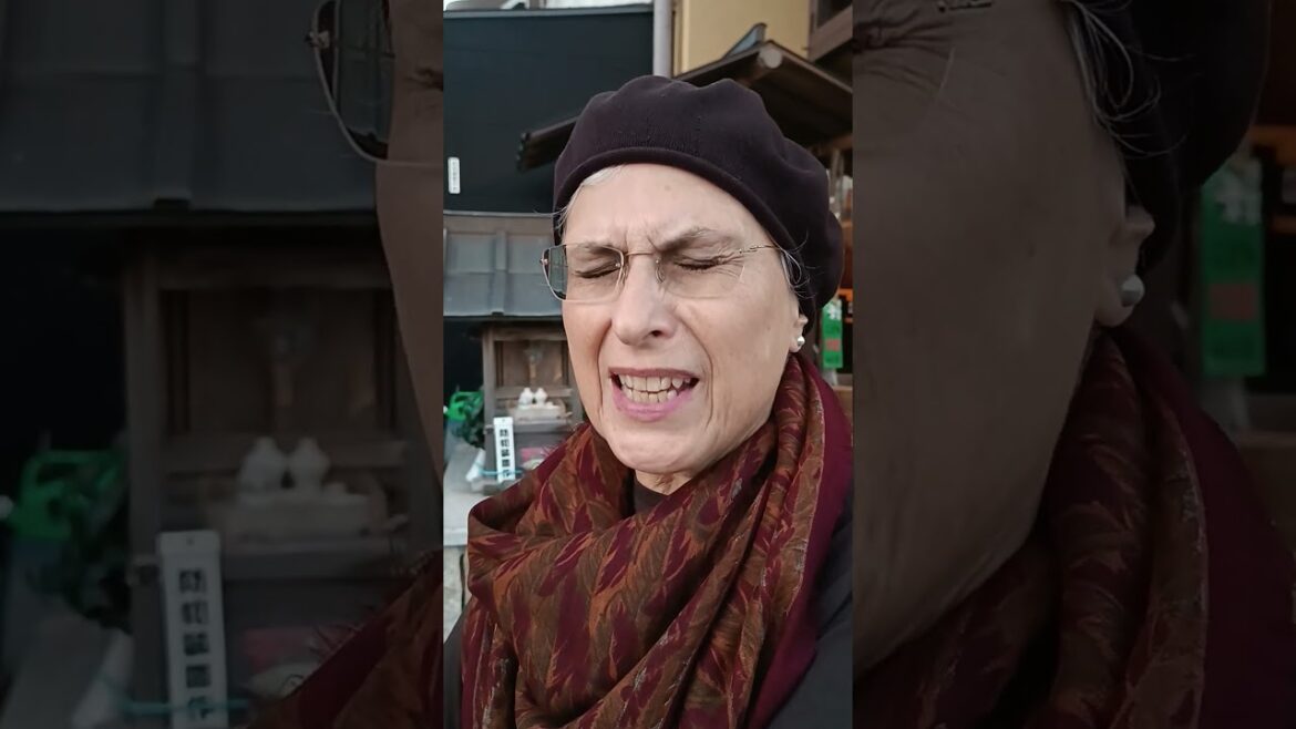 Kosher Japan with Josh Rubin and Kosher World Adventures For 50+      Robyn loved Kosher Japan